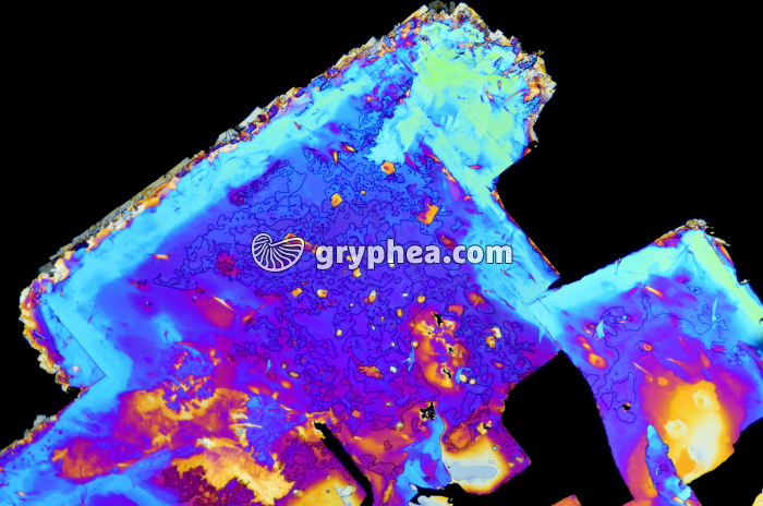 Vitamine B6 LPA x25 - gryphea.org